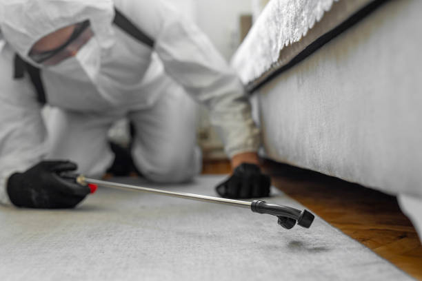 Professional Bed Bug Control technician working in Keuka Park, NY
