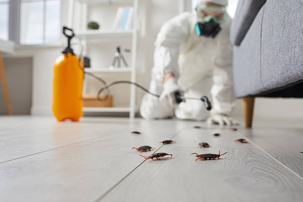Trusted Emergency Pest Control service in Keuka Park, NY - Nex Pest Control