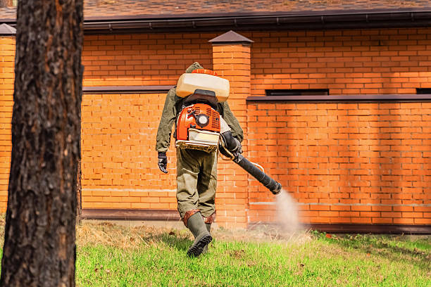Trusted Mosquito Control service in Keuka Park, NY - Nex Pest Control